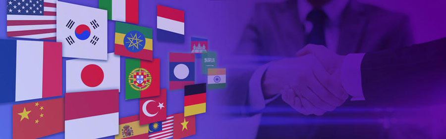 滁州小语种网站建设  第2张