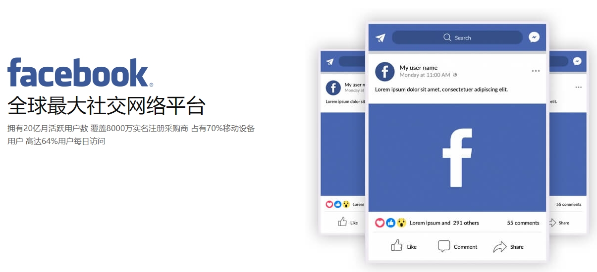 滁州海外社交媒体营销  第1张